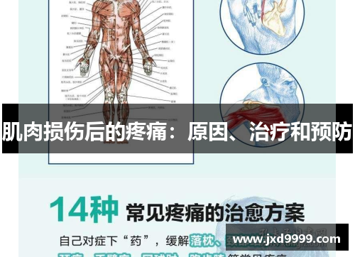 肌肉损伤后的疼痛：原因、治疗和预防