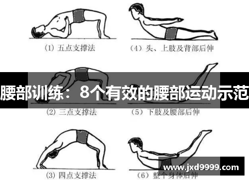 腰部训练：8个有效的腰部运动示范